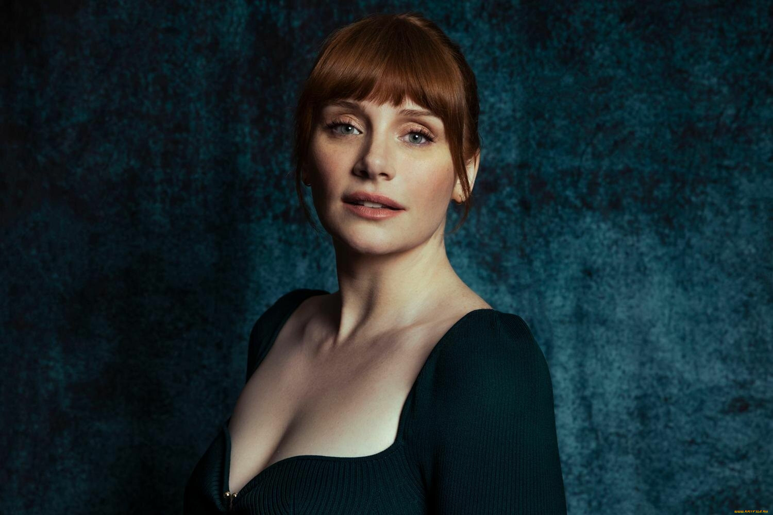 , bryce dallas howard, , , , , , , 